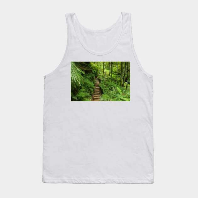 Pathway of ferns Tank Top by Michaelm43